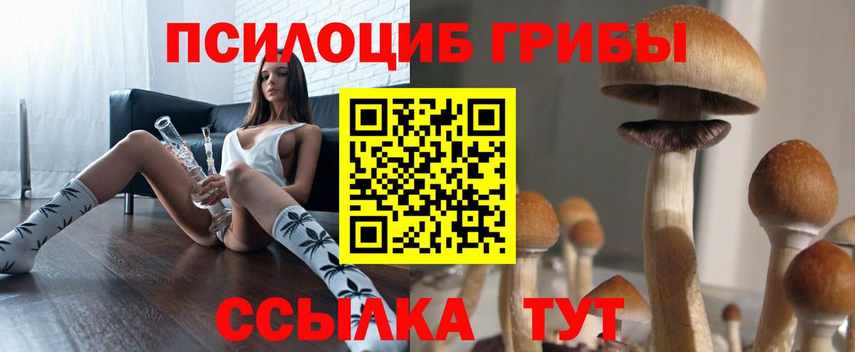 Галлюциногенные грибы мицелий  Вход с VPN  Красный Сулин 